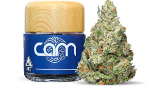 CAM - Glue Stick Private Reserve - 3.5