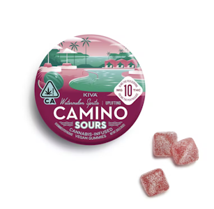 Camino - Watermelon Spritz | 100mg Gummies | Camino