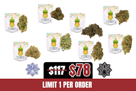 33% of 28g Humble Root 8th Flight Bundle