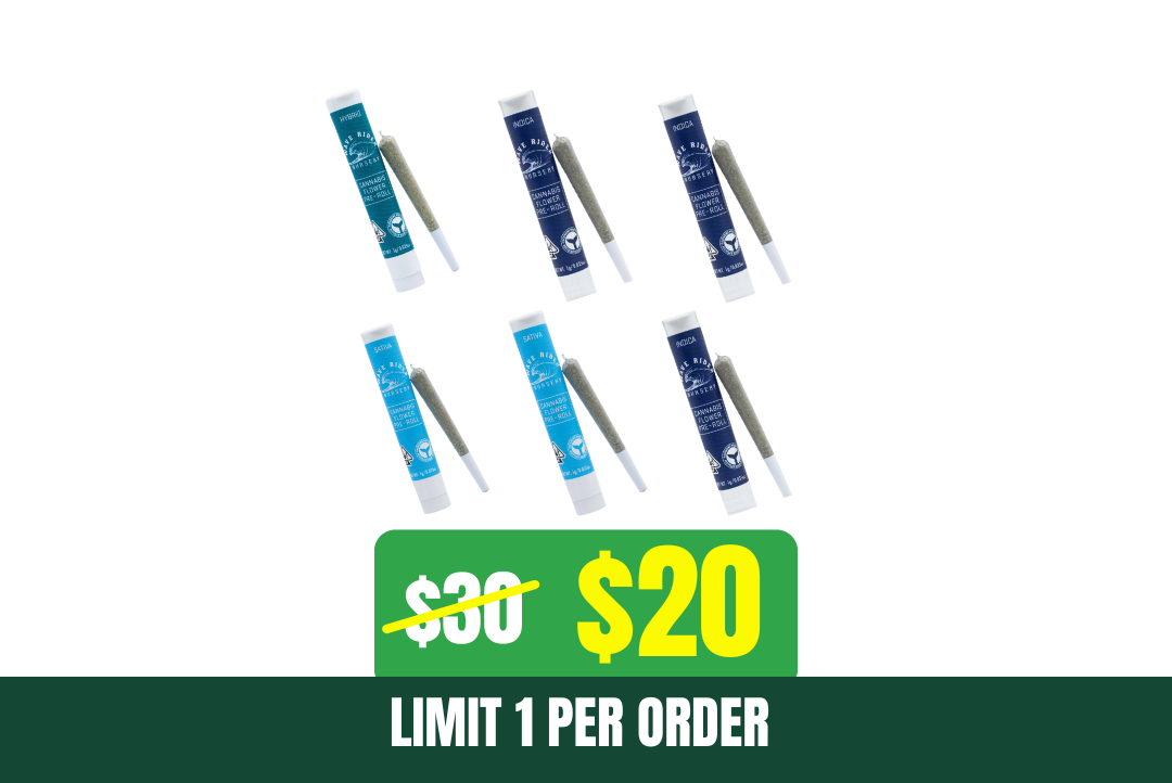 33% off 6g Wave Rider Pre-Roll Bundle picture