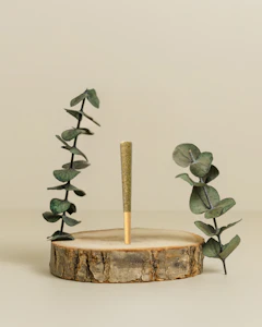 DISTRICT CANNABIS - Spritzer | Pre-roll | 1g | District Cannabis