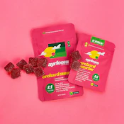 Orchard Sunrise 1:1 Gummies 10 Pack| E20
