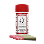 Stiiizy WATERMELON Z - .5G 40's 5 Pack