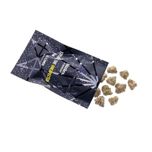 ANTHOLOGIE - Hashburger 7g Littles