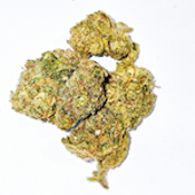 DPF - Banana Jealousy (1g) INDICA