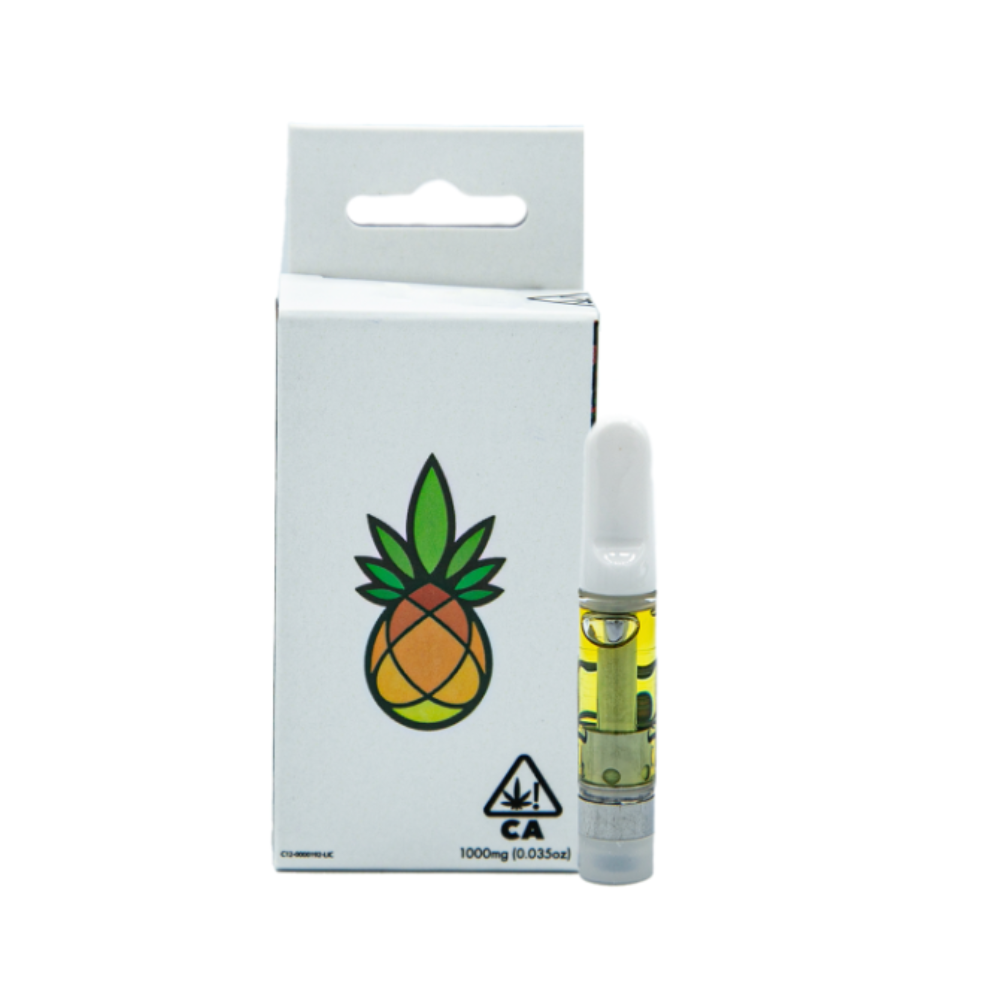 Beets, Beyond the Harvest: Unlocking the Nutritional Power of a Humble Root Vegetable