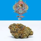 Cheetah Piss (H) 28.09% THC | Cookies Flower Bag | 3.5g Flower