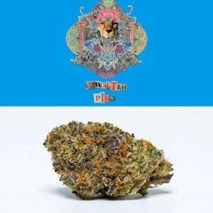 COOKIES - Cheetah Piss (H) 28.09% THC | Cookies Flower Bag | 3.5g Flower