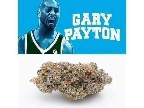 Cookies - Gary Payton 3.5 Grams By Cookies Main Image