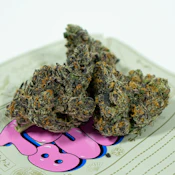 TEDS BUDZ Grape Uncrustablez 3.5g