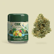 CBX - Tropical Lemonade - 3.5g