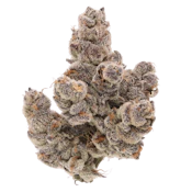 SENSE | PIESCREAM | FLOWER | 3.5G
