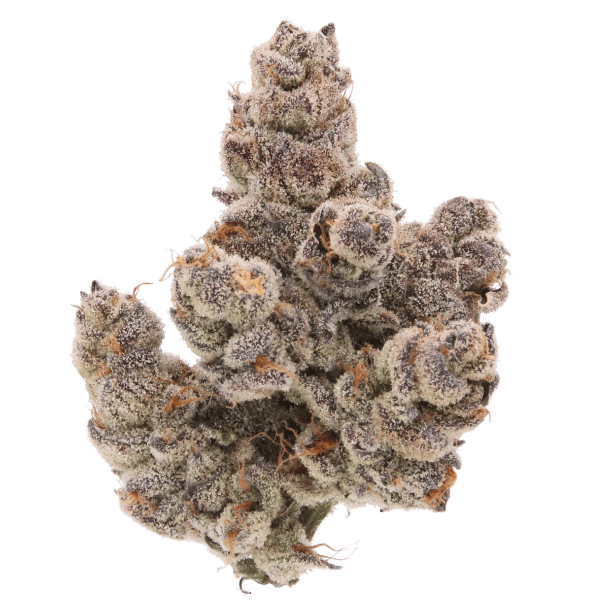 Sense - SENSE | PIESCREAM | FLOWER | 3.5G Main Image
