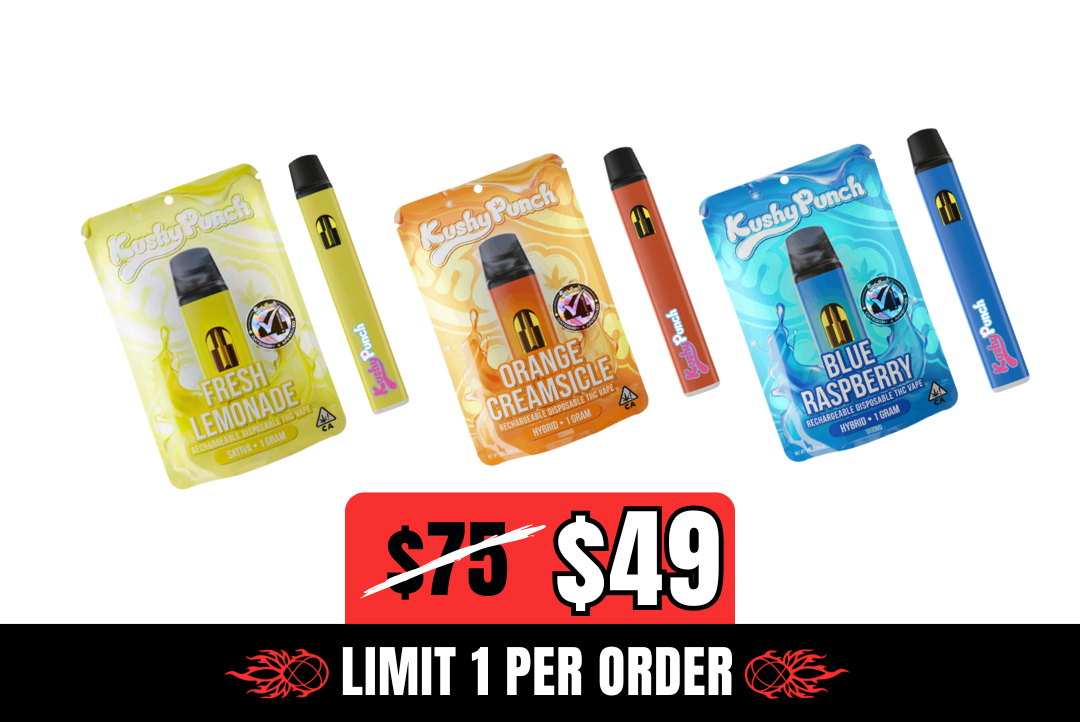 35% off 3g Kushy Punch Vape Bundle picture