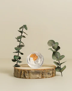 Molecular Farms - Honey Banana | Live Hash | 1g | Molecular Farms