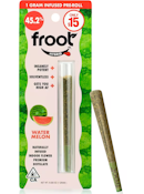Watermelon 1g Infused Pre-roll - Froot