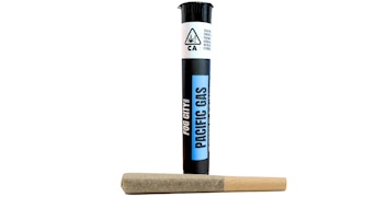 Fog City Farms - Coastal Runtz Pre-Roll - 1g