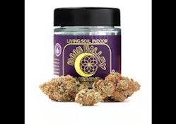 MOON VALLEY ORGANICS - Sunset Sherbet - 3.5G
