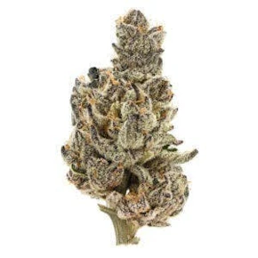 SB 36 #1 | 3.5g Flower | 710 Labs