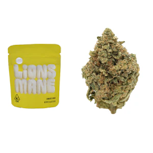 Lemonnade - 3.5g Lions Mane (Indoor Pouch) - Lemonade