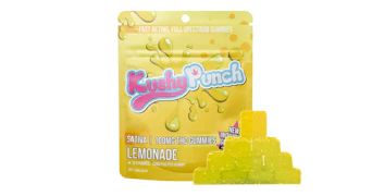 Kushy Punch - Lemonade Gummies - 100mg