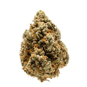 Herbarium | Gasface | 1/2 Oz