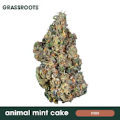 Animal Mint Cake - 3.5G Flower