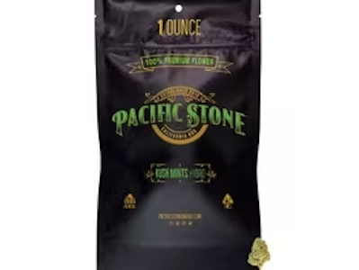 Pacific Stone - Pacific Stone 1oz 805 Glue $170