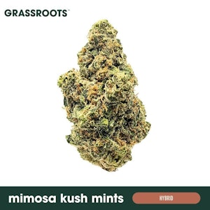 Grassroots - Mimosa Kush Mints - 3.5G Flower