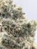 Product Preview Image 2