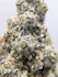 Product Preview Image 1