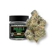 1g Mule Fuel - Claybourne