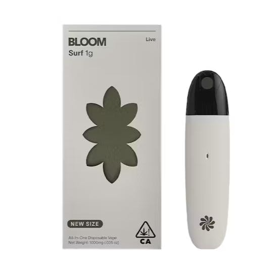 BLOOM: Citrus Punch Live
