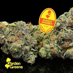 GARDEN GREENS - Flower | Buds | Garden Greens | Sunset Sherbet | 3.5g