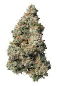 PROPER - BLACK MAPLE 22 3.5 GRAMS