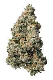 Proper Cannabis - PROPER - BLACK MAPLE 22 3.5 GRAMS Main Image
