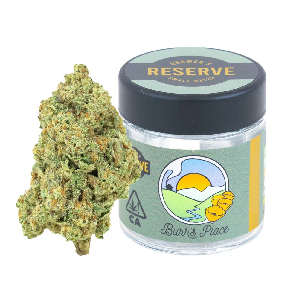 Burr's Place - BURRS PLACE | CUPCAKE X GELONADE | FLOWER | 4G Main Image