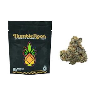 Humble Root - 4g Grape Galaxy (Indoor Smalls) - Humble Root