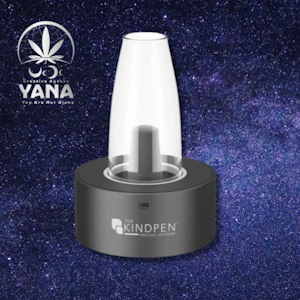 THE KIND PEN - Smoke Devices - Gags Kind Pen