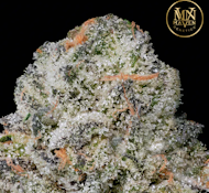 MAVEN GENETICS: Black Diamond X 3.5g (I)