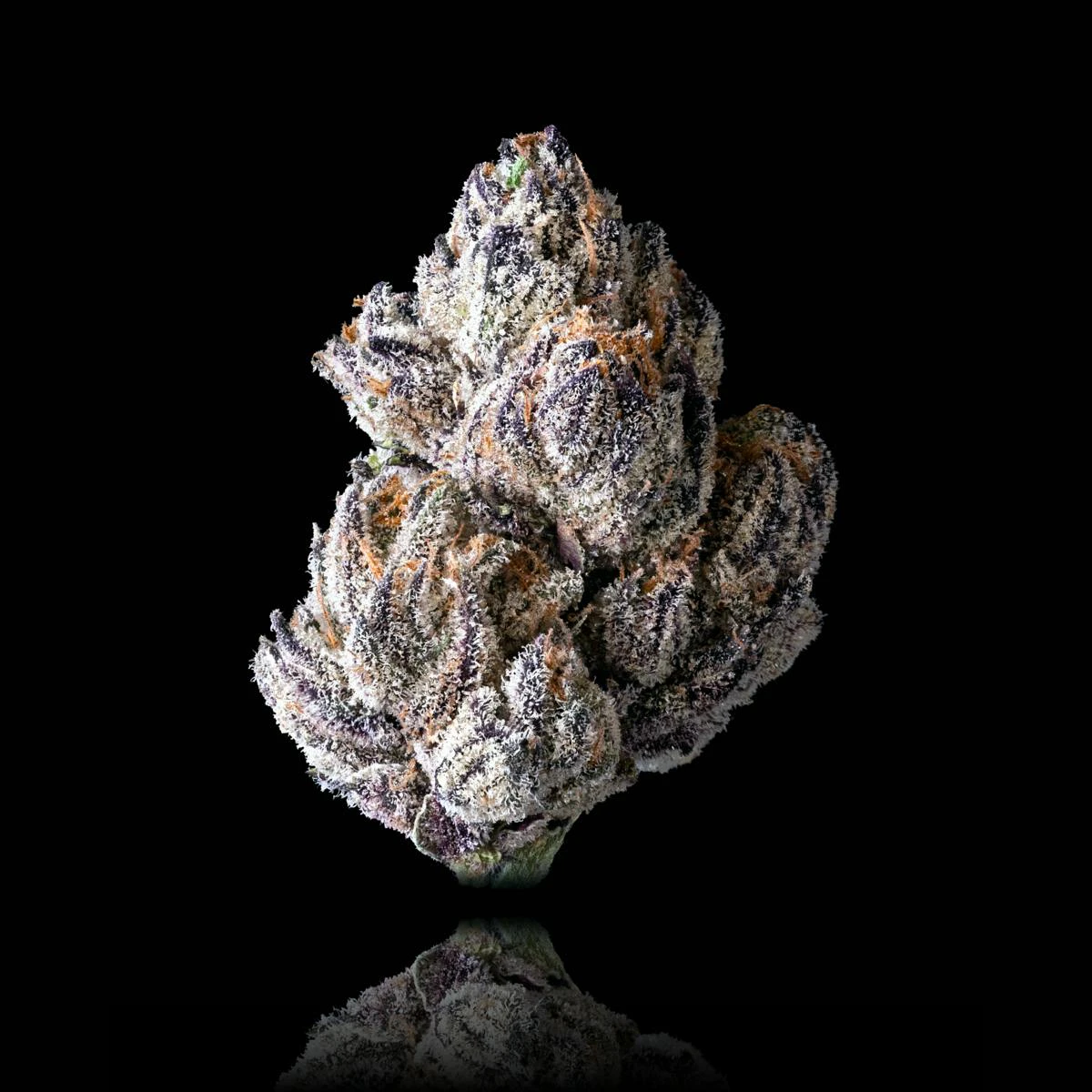 Maven Genetics - Maven | Lipsmackerz | 1g Preroll Main Image