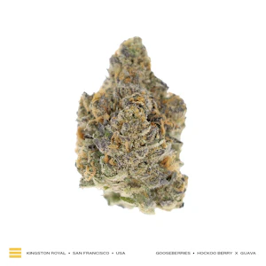 Kingston Royal - Flower - Gooseberries - 3.5g (IH) - Kingston Royal