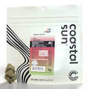 Apple Tartz - 14g (H) - Coastal Sun