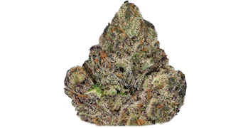 LAX Packs - Bubblegum Gelato - 3.5g