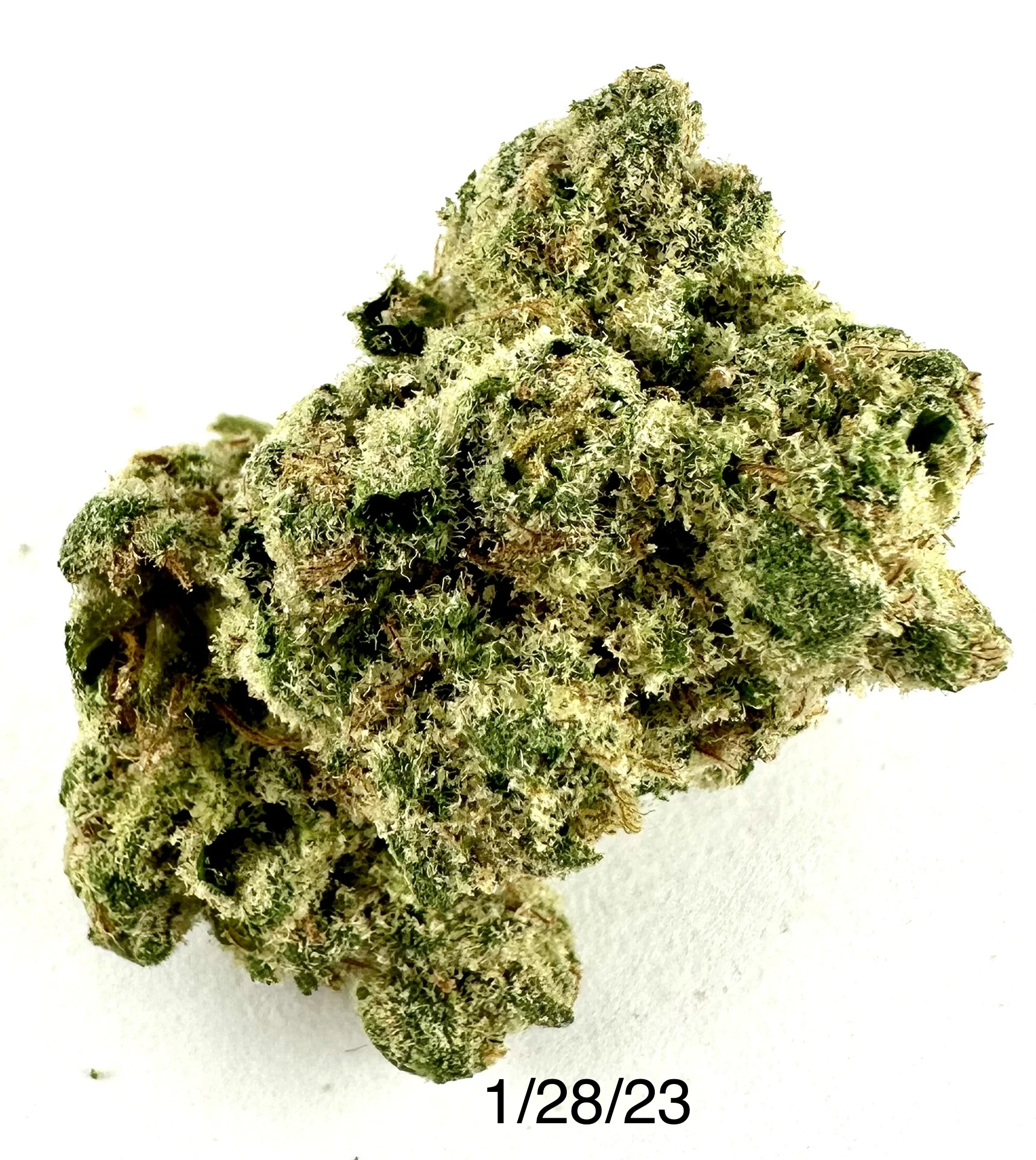 PROHIBITION 37 - P37 - Fruit Pie  Main Image