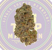 Terp Mansion Grape Jelly Clear Top Indoor Flower 3.5g