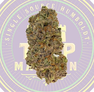 Terp Mansion - Terp Mansion Grape Jelly Clear Top Indoor Flower 3.5g