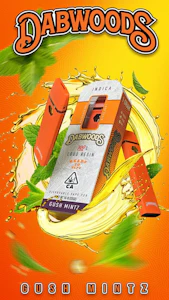 Dabwoods - Gush Mintz (I) | 0.5g Disposable | Dabwoods