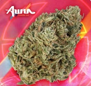 (D) Aura | Lizzie B (H) - Flower