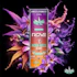 Product Preview Image 1